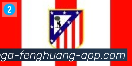 凤凰体育合作伙伴